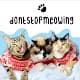 DontStopMeowing