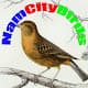 NamCityBirds